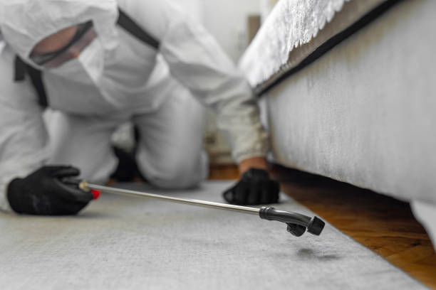 Professional Termite Control technician working in Woodson Terrace, MO