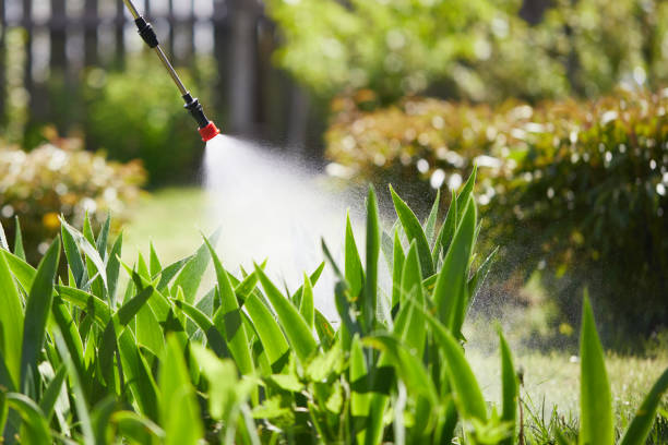 24/7 Emergency Termite Control experts in Woodson Terrace, MO